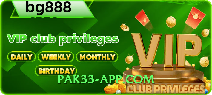 tojaybet Expert Interface