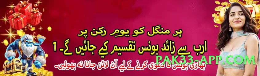 tojay v5.1.3 2025 Screenshot 4