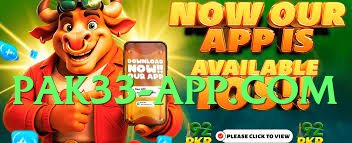 winpkr v9.0.0 Screenshot 3